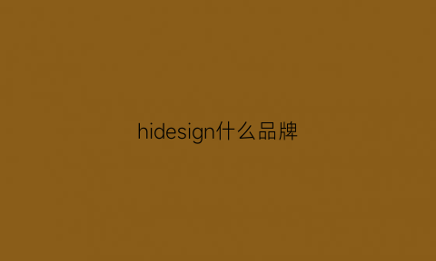 hidesign什么品牌(htowndesign什么品牌)