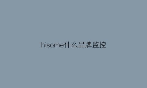 hisome什么品牌监控