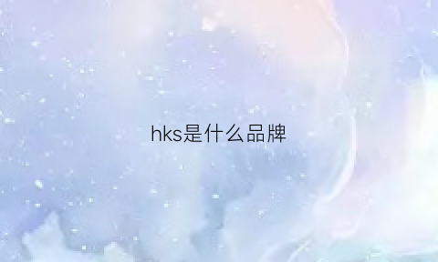 hks是什么品牌(hkh是什么品牌)