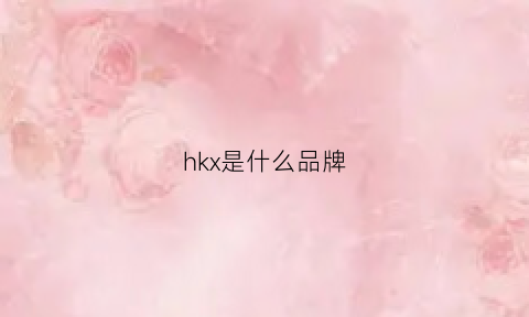 hkx是什么品牌(hk是什么品牌的缩写)