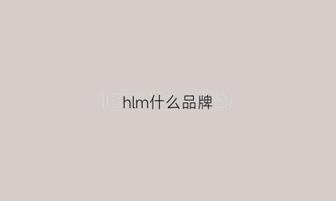 hlm什么品牌(hm什么牌子)