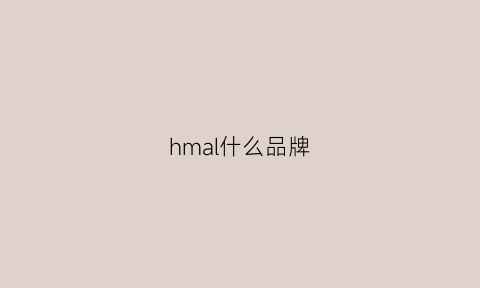 hmal什么品牌(h·m什么牌子)