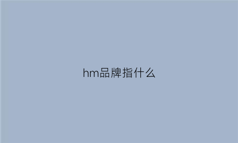 hm品牌指什么(hm牌子是什么意思)