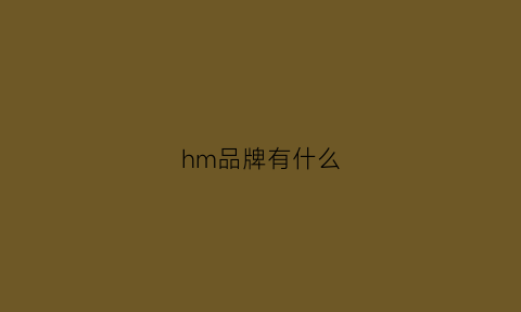 hm品牌有什么