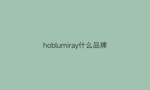 hoblumiray什么品牌(homie是什么牌子)