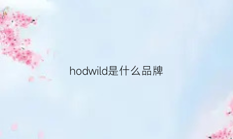 hodwild是什么品牌(holwind是什么牌子)