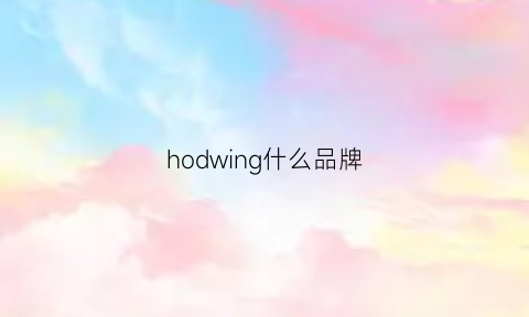 hodwing什么品牌(holwind是什么牌子)