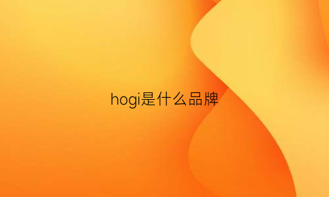 hogi是什么品牌(hogi是什么牌子)