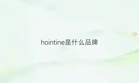 hointine是什么品牌