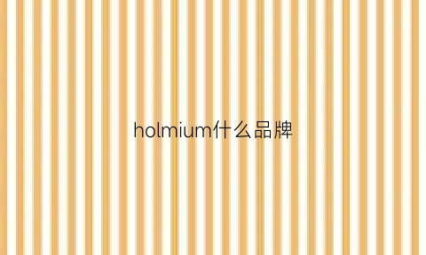 holmium什么品牌(hormann是什么牌子)