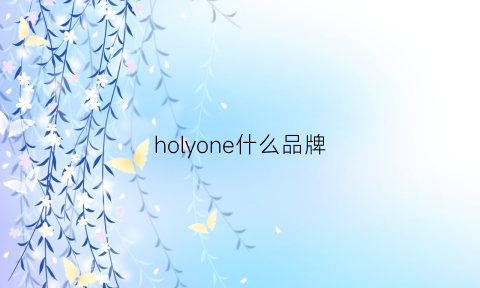 holyone什么品牌