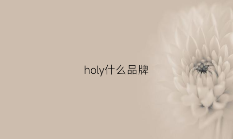 holy什么品牌(holyhigh是什么牌子)