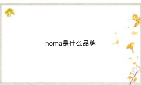 homa是什么品牌(holzma是什么品牌)