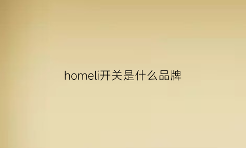 homeli开关是什么品牌(homey是什么品牌的电器)