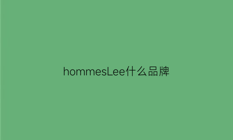 hommesLee什么品牌(hommeplisse是什么牌子)