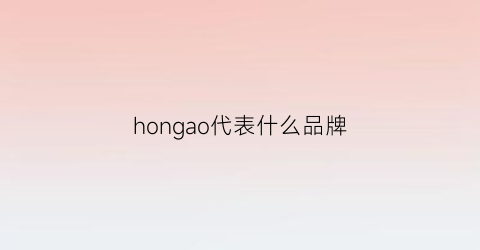 hongao代表什么品牌(hongu是什么档次)