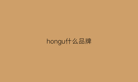 hongu什么品牌(hongyi是什么牌子)