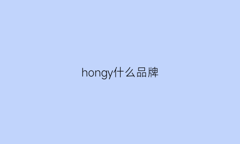 hongy什么品牌