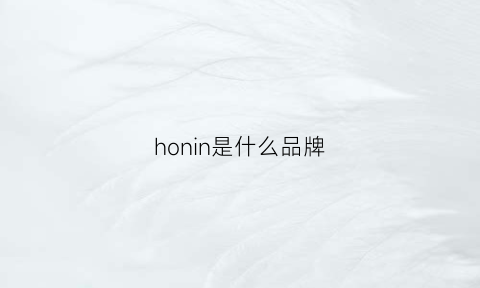 honin是什么品牌(honson是什么牌子)