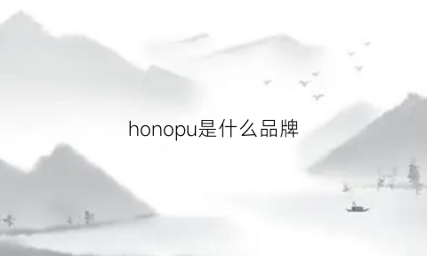 honopu是什么品牌(honor是什么牌子手机)