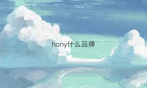 hony什么品牌(honyar是大牌子吗)