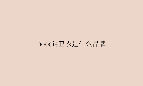 hoodie卫衣是什么品牌(homme卫衣)