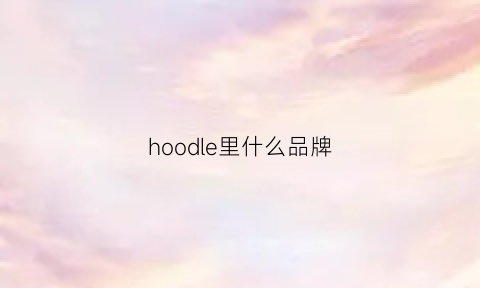 hoodle里什么品牌