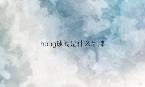 hoog球阀是什么品牌(球阀品牌大全)