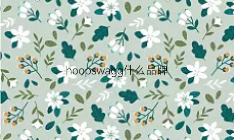 hoopswagg什么品牌