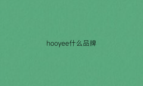 hooyee什么品牌(hoojoo是什么牌子好)