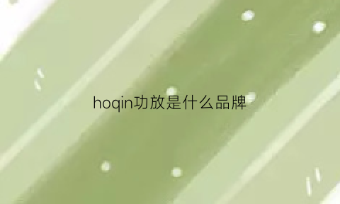 hoqin功放是什么品牌(hiend功放)