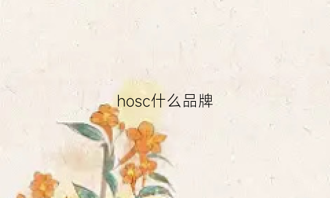 hosc什么品牌