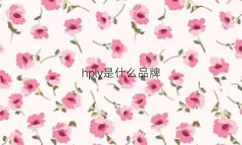 hply是什么品牌(hpe是什么品牌)