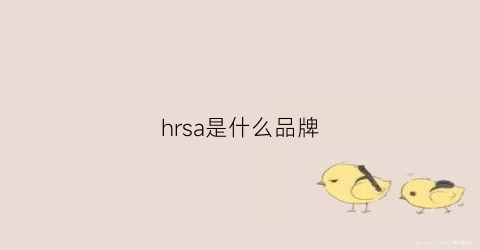 hrsa是什么品牌(hrs是什么牌子)