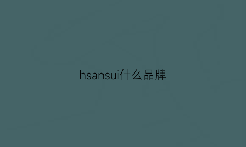 hsansui什么品牌(hs是什么品牌)