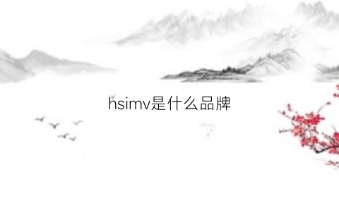 hsimv是什么品牌(hsh是什么品牌)