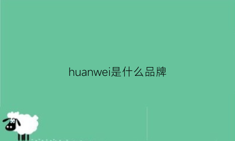 huanwei是什么品牌(hwei是什么牌子)