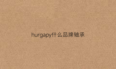 hurgapy什么品牌轴承(hyf轴承是什么牌子)