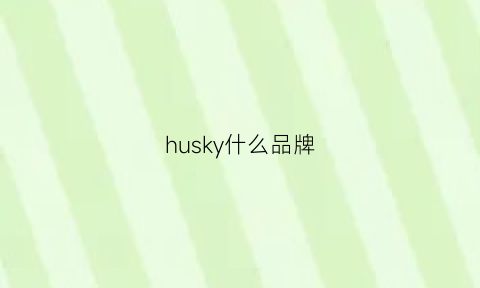 husky什么品牌(huskysneaker)