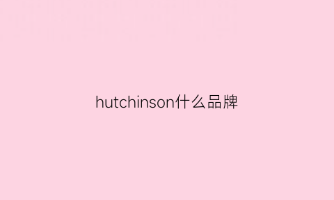 hutchinson什么品牌(hudson是美国什么牌子)