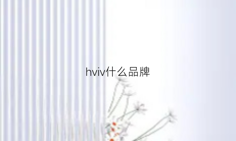 hviv什么品牌