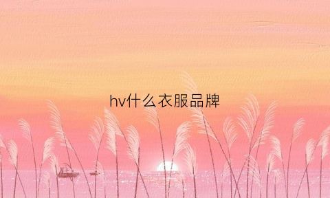 hv什么衣服品牌(h·v是什么牌子)