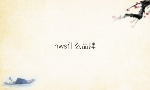 hws什么品牌(hws是什么牌子)