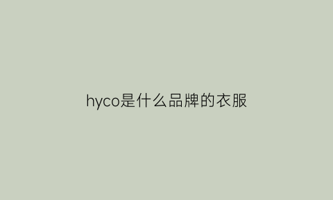 hyco是什么品牌的衣服