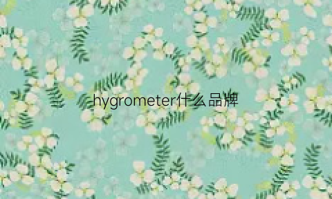 hygrometer什么品牌(hydrogen是什么牌子)