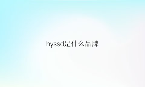 hyssd是什么品牌(hyd是什么牌子)