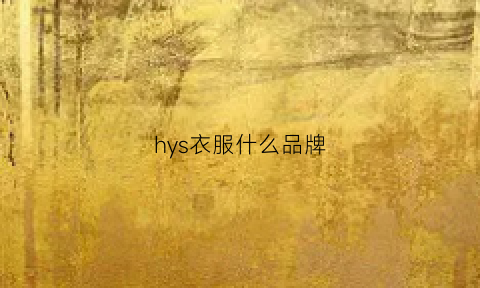 hys衣服什么品牌(hyx是什么牌子衣服)