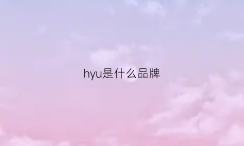 hyu是什么品牌(hy是什么品牌)