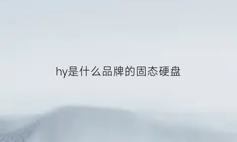 hy是什么品牌的固态硬盘(hy固态硬盘是什么牌子)