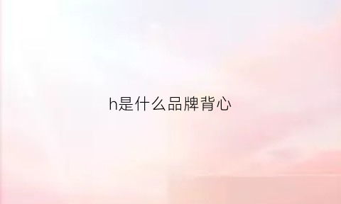 h是什么品牌背心